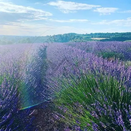 Дом отдыха Cote Verdon 2 *
