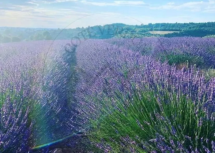 בית נופש Cote Verdon 2 *